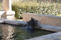 Le lavoir la Grenouille